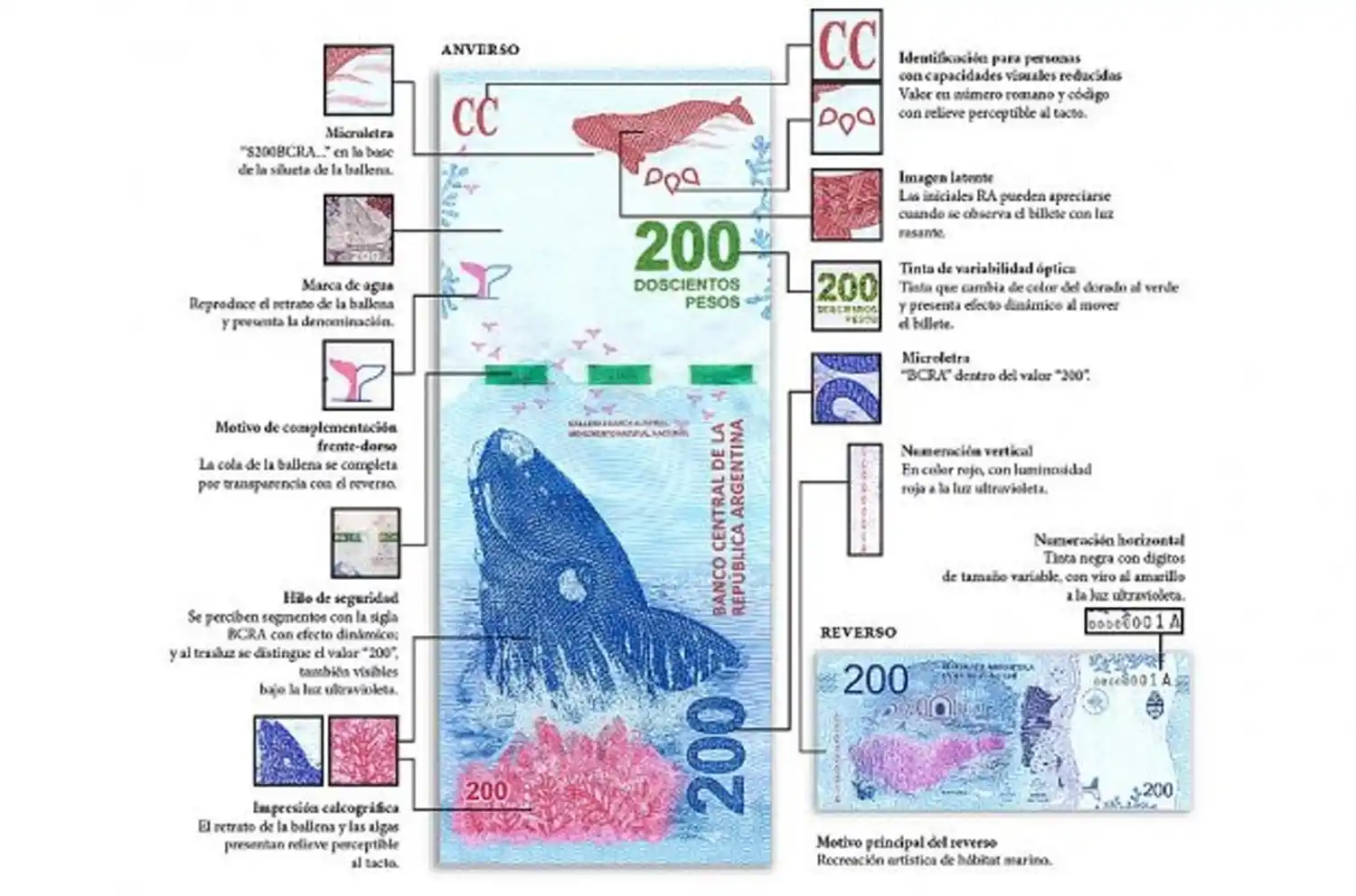 No te dejés engañar: así podés detectar billetes de $ 200, $ 500 y $ 1.000 falsos