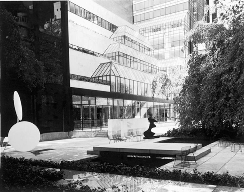 EL HOMBRE Y EL PAISAJE. Pelli toma una foto de Yerba Buena en el campus de estudio de la Unsta. la gaceta  / foto de analia jaramillo ( archivo) 