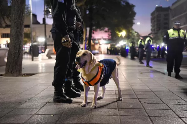 como entrena la policia a sus perros