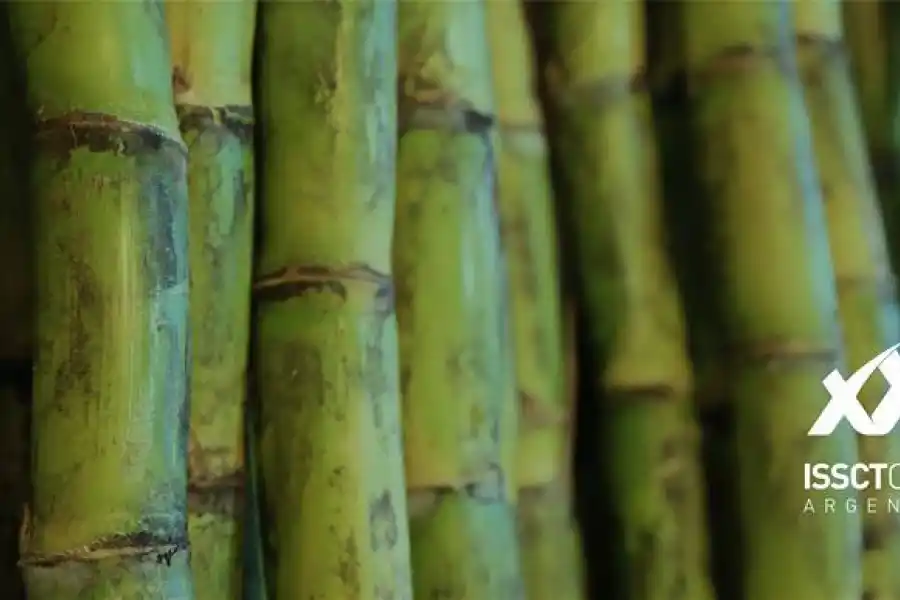 Gran expectativa por el Congreso Mundial de la Caña de Azúcar en Tucumán