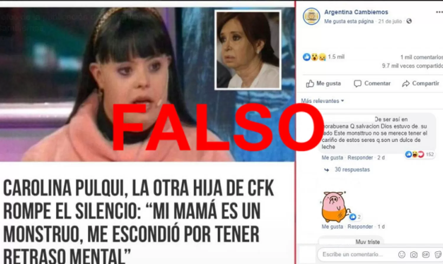 Es falso que Cristina Fernández tiene una “hija escondida” con síndrome de down