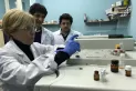 Un laboratorio de la UNT analiza los aceites de cannabis que circulan en Tucumán