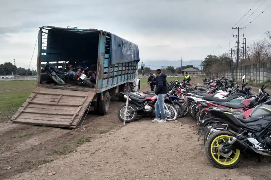 EL TRASLADO. La sección Caballería prestó sus camiones para mover los rodados.