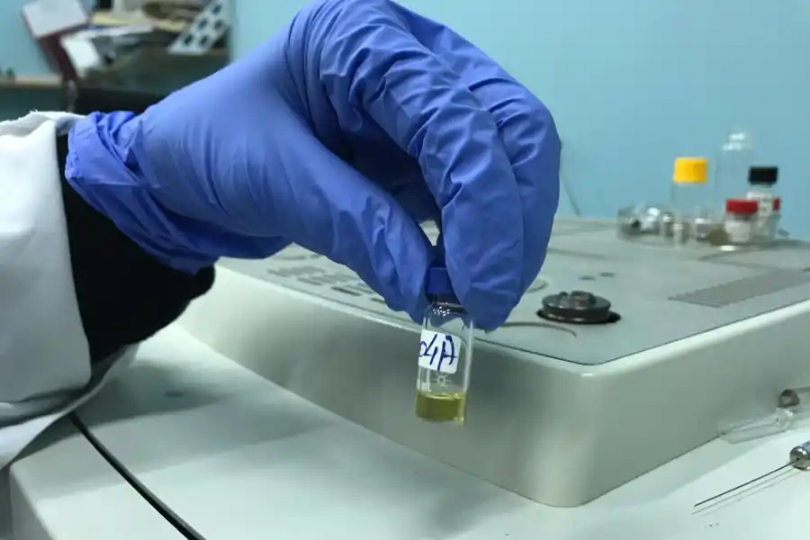 Una muestra lista para ser analizada. 