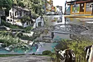 Sin sueños no hay futuro