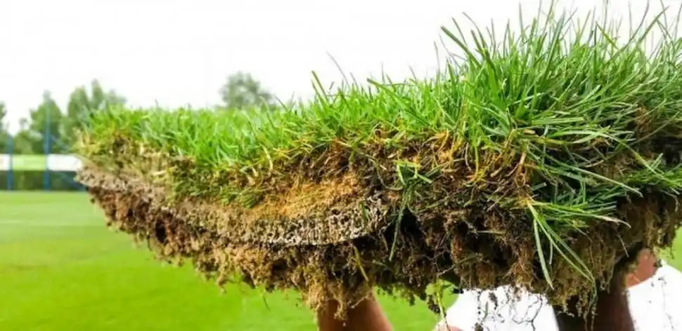  excursioistas.org.ar