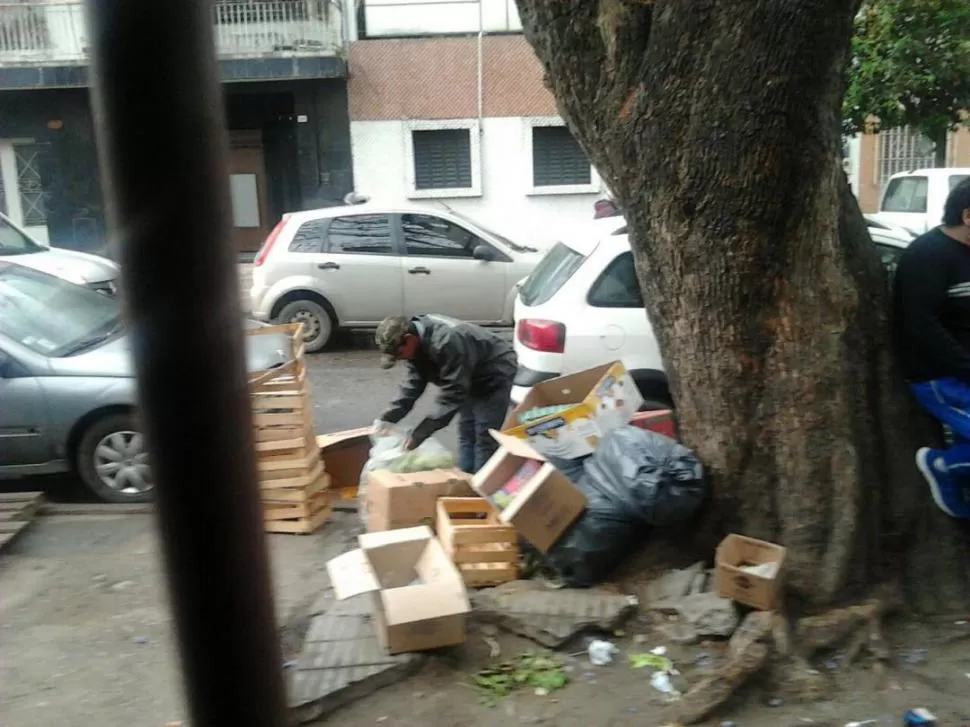 Nadie se lleva la basura que se acumula frente a su casa, en Maipú al 1.100