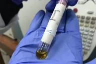 El Siprosa deja listo el camino para las investigaciones con cannabis medicinal