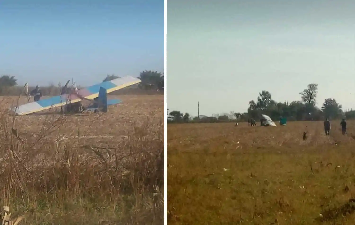 Las fotos que lograron tomar los vecinos del cañaveral.