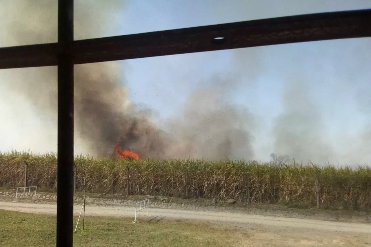 Encerrados en las casas, vecinos de La Arboleda ven las llamas y temen por su salud y su seguridad.