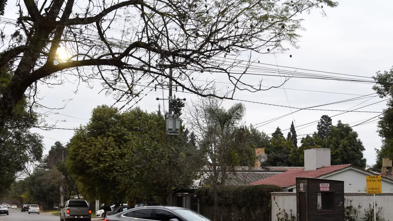 Tras el robo, rastreó el celular y llegó hasta un drugstore