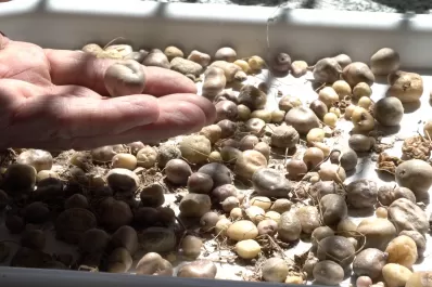 “Queremos darles a los Pueblos Originarios lo que les pertenece”