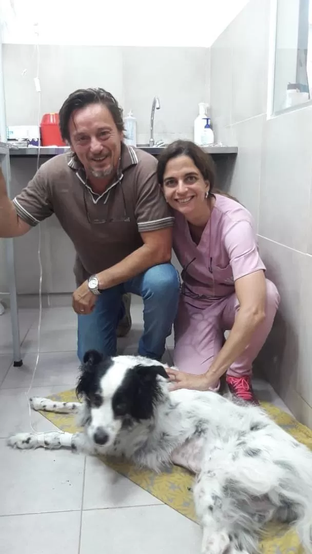 LA ULTIMA OPORTUNIDAD. Daneri y El Kadi operaron a un gato y a un perro que no tenían muchas chances de sobrevivir y ahora están saludables. 