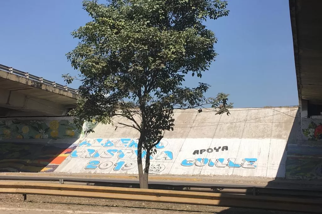 La pintada que hicieron en el puente destinado a la obra. 