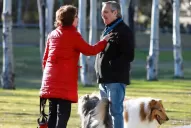 Alberto Fernández: yo estoy en veda, Marcos Peña habla porque está nervioso