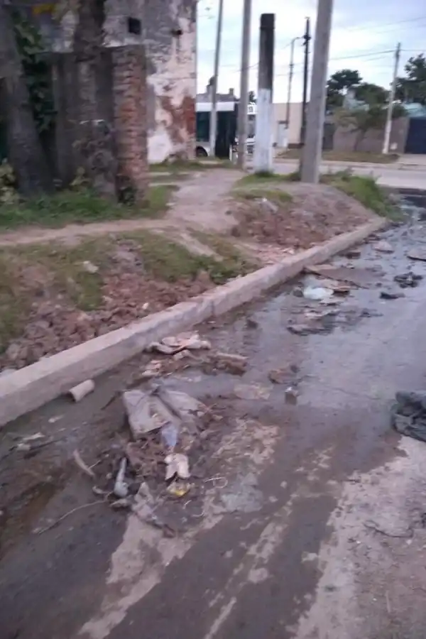 Piden que se limpien los techos de los quioscos que venden flores y cactus