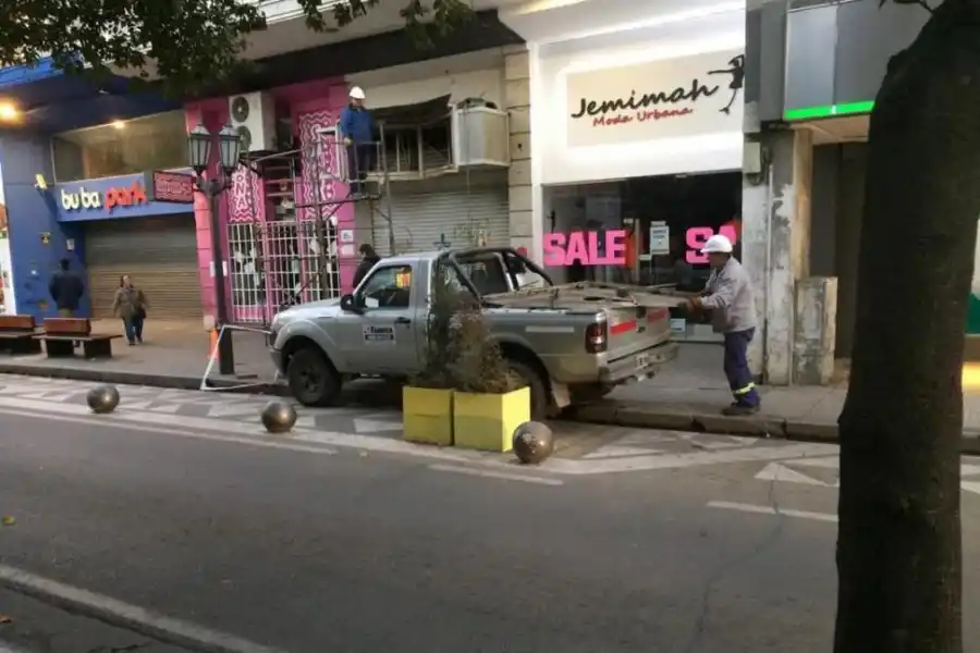 Piden que se limpien los techos de los quioscos que venden flores y cactus
