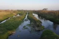 Canal Sur: “se hace una limpieza que no es la adecuada”