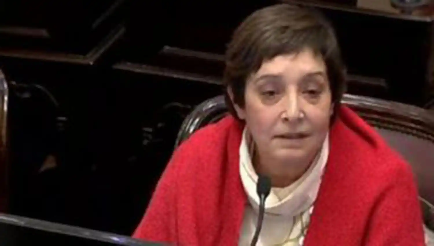 Los bienes de la mayoría de los diputados y senadores subieron más que la inflación 