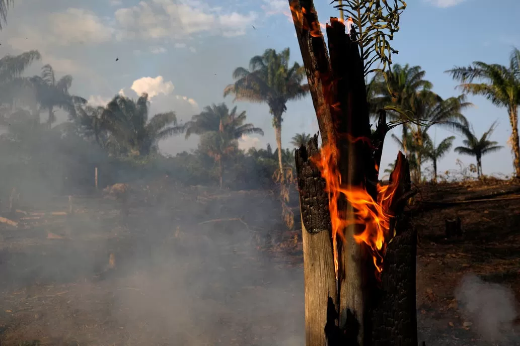 EN LLAMAS. Uno de los focos de los incendios, en Iranduba, en el estado brasileño de Amazonas. FOTO REUTERS