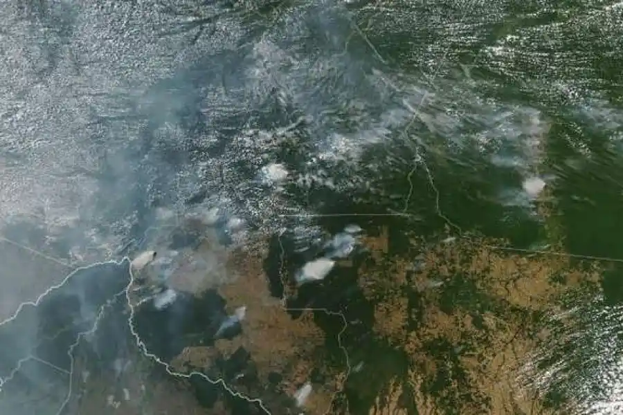 Preocupación mundial: el Amazonas se quema en tiempo récord