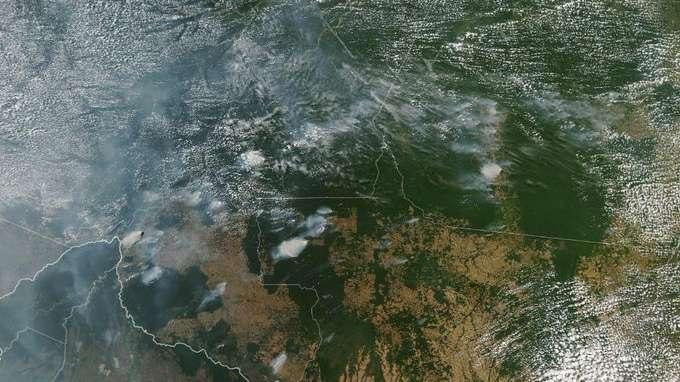 Preocupación mundial: el Amazonas se quema en tiempo récord