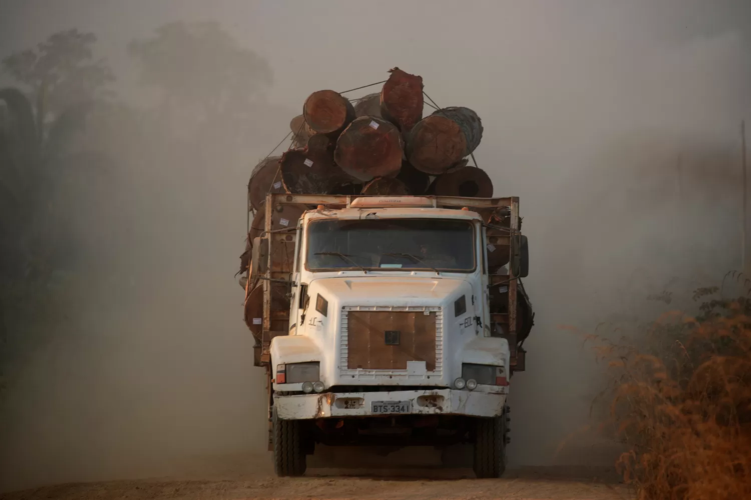 La deforestación con el fin de incrementar las áreas de cultivo es el principal factor de la desaparición del bosque nativo e incide directamente en los incendios.