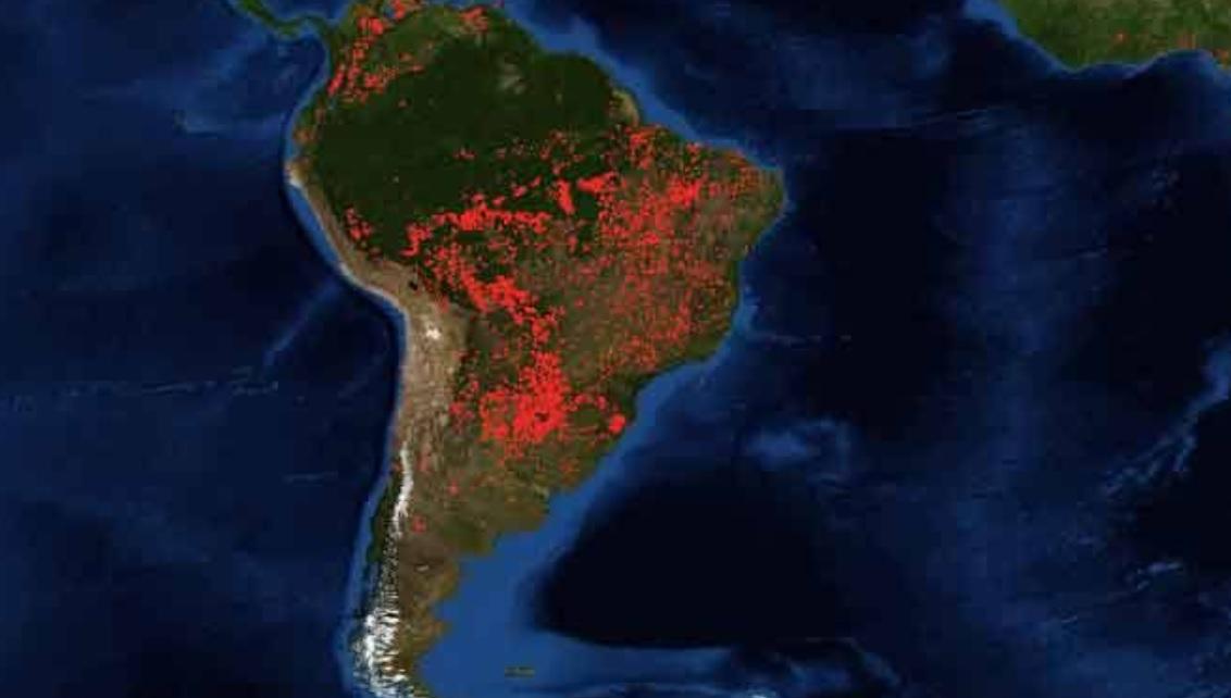 Amazonas: la UE unifica críticas a Brasil y peligra el acuerdo comercial con el Mercosur
