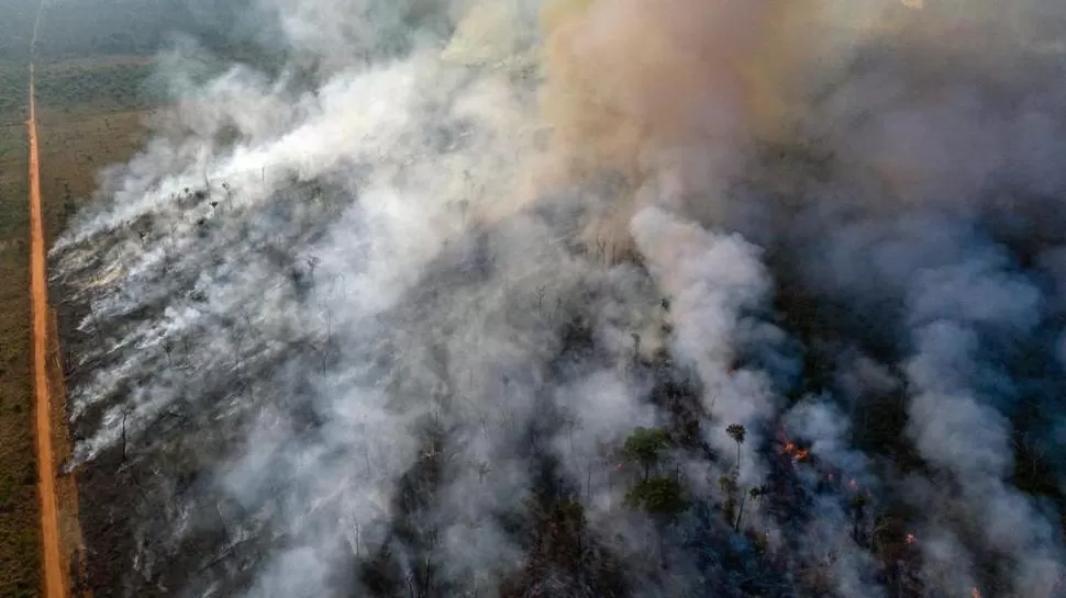 HUMO Y FUEGO. Un avión registró el avance de los incendios en la selva.  