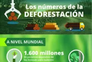 Salvemos los bosques