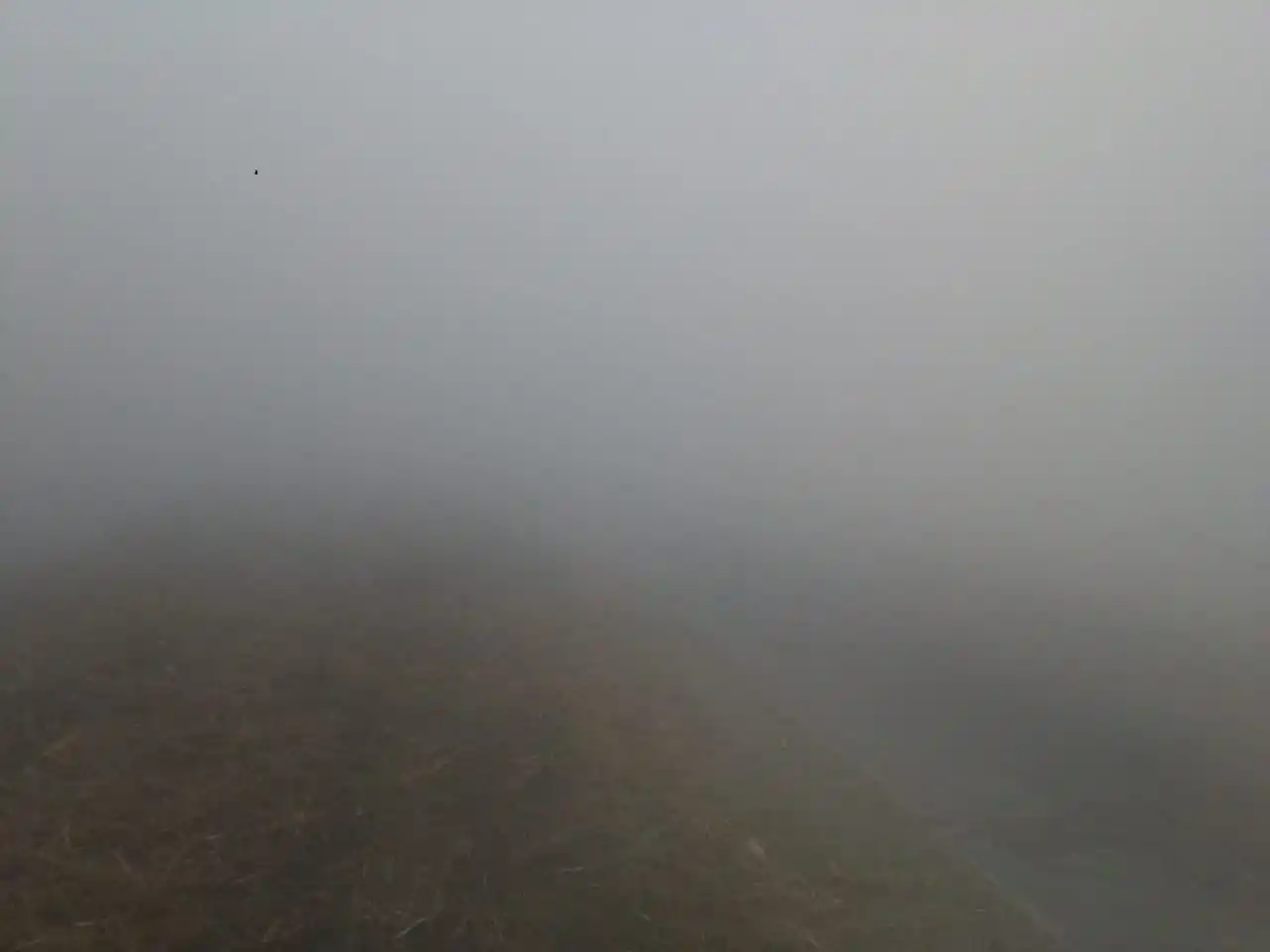 Otra vez, alarma por la quema de cañaverales en el este tucumano