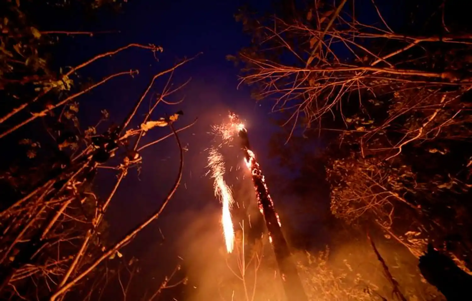 INCENDIOS EN AMAZONIA. 