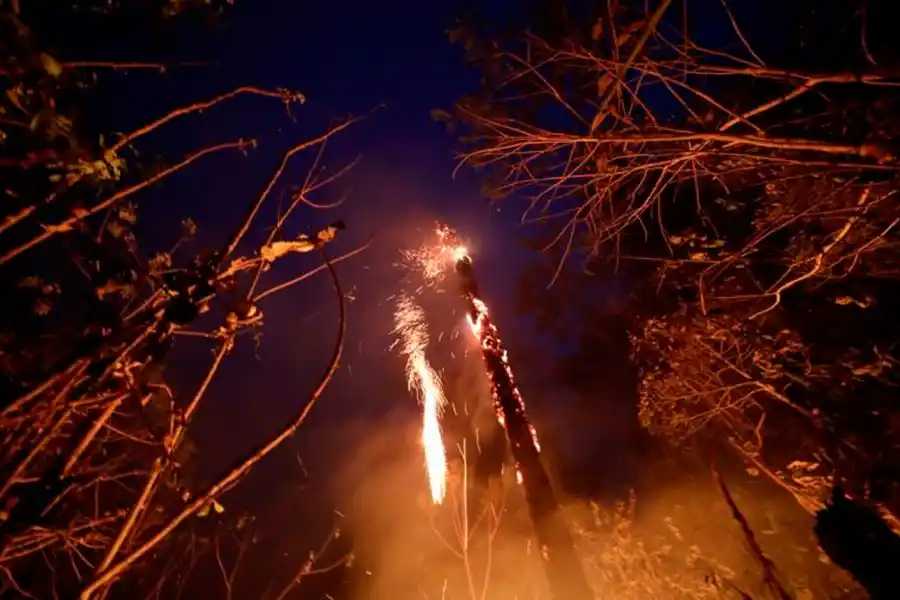 INCENDIOS EN AMAZONIA. 