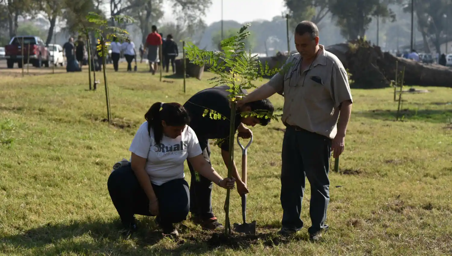 Por el Día del Árbol se plantaron 150 ejemplares en el parque 9 de Julio