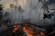 El fuego en la Amazonia quema la reputación de Bolsonaro en el extranjero, pero no en Brasil