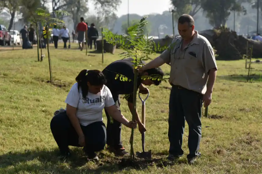 Por el Día del Árbol se plantaron 150 ejemplares en el parque 9 de Julio