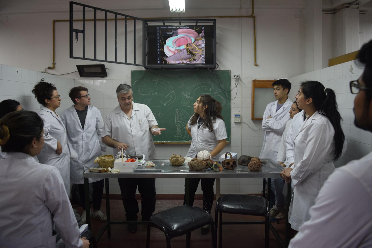 Miguel Ángel Noguera en una clase: tablet, piezas impresas en 3D, y órganos reales, todo sirve para enseñar anatomía.