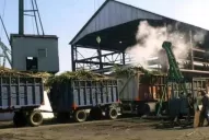 Presentan el libro Historia azucarera argentina de Horacio Ibarreche