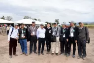 En inglés todos hablan de la sugar cane