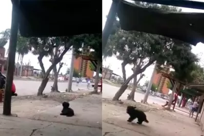 La peor cara de Tucumán: adolescentes se enfrentan a tiros en el sur de la capital