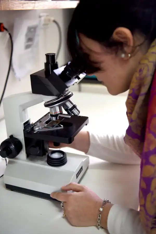 Investigan para sumar la región a la “industria verde”