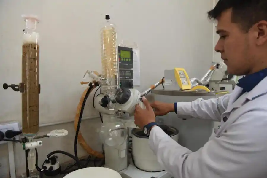 EL CICLO. Desde procesar desechos y transformarlos en material de estudio, hasta hallar moléculas y sus propiedades.  