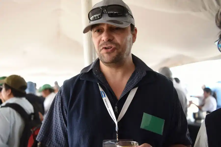 En inglés todos hablan de la sugar cane