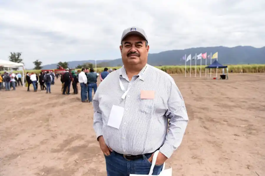 En inglés todos hablan de la sugar cane