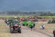 Datos del Congreso Mundial de la Caña de Azúcar