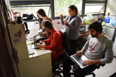 El desafío de combatir la leishmaniasis, un mal desatendido