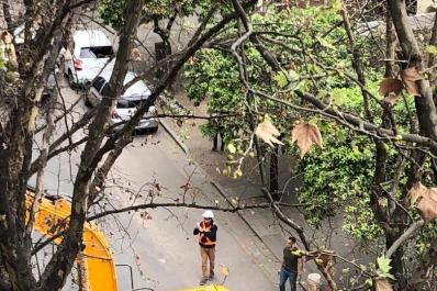 Usan una máquina para sacar dos naranjos