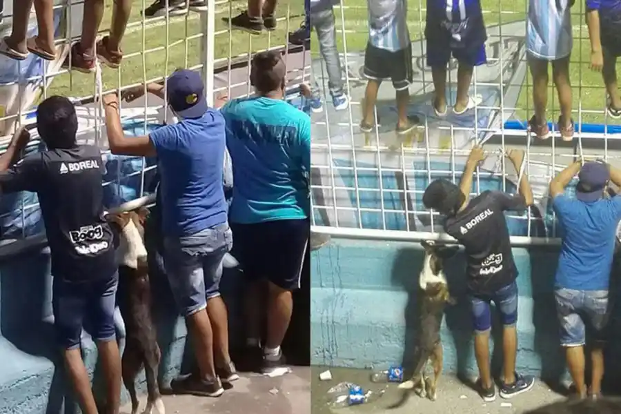 Se quedó dormida en una de las tribunas del Monumental y la imagen se volvió viral