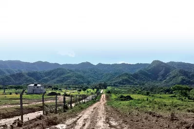 Cambio climático: qué podemos hacer para reducir su impacto en Tucumán