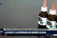 “El cannabis viene de la sociedad hacia la medicina”